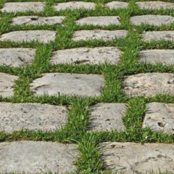 Napoleon reclaimed setts