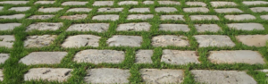Napoleon reclaimed setts