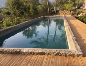 Reclaimed stone kurbs for pool coping