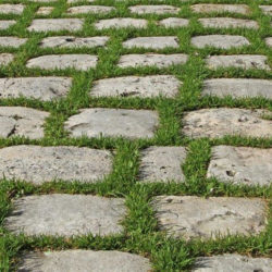 Paves Fontainebleau pour joints gazon