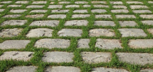 Paves Fontainebleau pour joints gazon