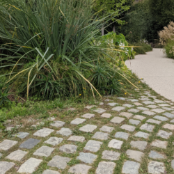 Kings cobbles with grass joints in the gardens of Nantes