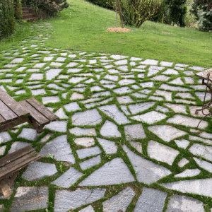Everything about granite pavers